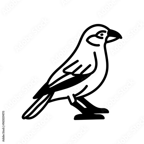 Finch bird Glyph Icon, Vector illustration
