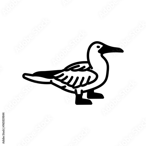 Boobies Glyph Icon, Vector illustration