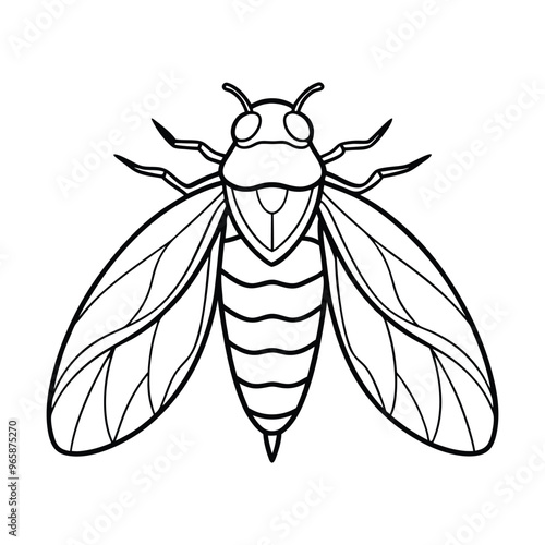 Cicada Vector Illustration - Cartoon Clipart and Line Art Design for Print.eps