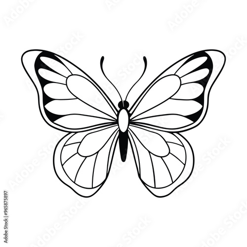 Butterfly Vector Illustration - Cartoon Clipart and Line Art Design.eps