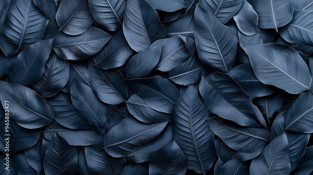 Close-up of large overlapping dark blue leaves creating a natural textured background. The leaves have detailed veins and smooth surfaces, arranged in a layered pattern. Close-up of large overlapping dark blue leaves creating a natural textured background. The leaves have detailed veins and smooth surfaces, arranged in a layered pattern.