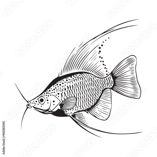 Pearl Gourami Fish image vector. illustration of a Pearl Gourami Fish. photo