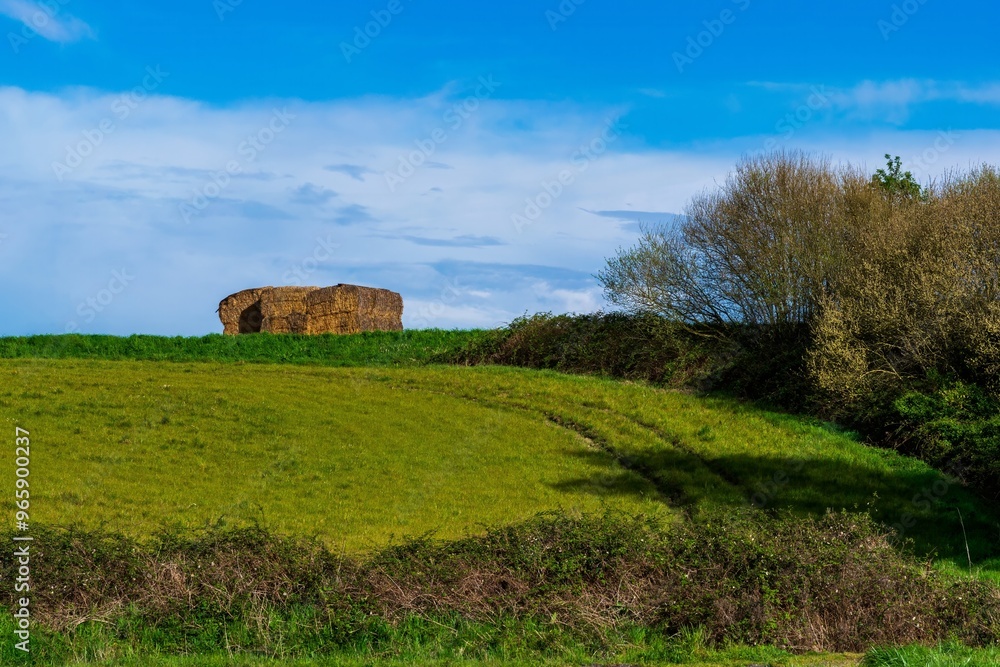 Obraz premium landscape with the green hill