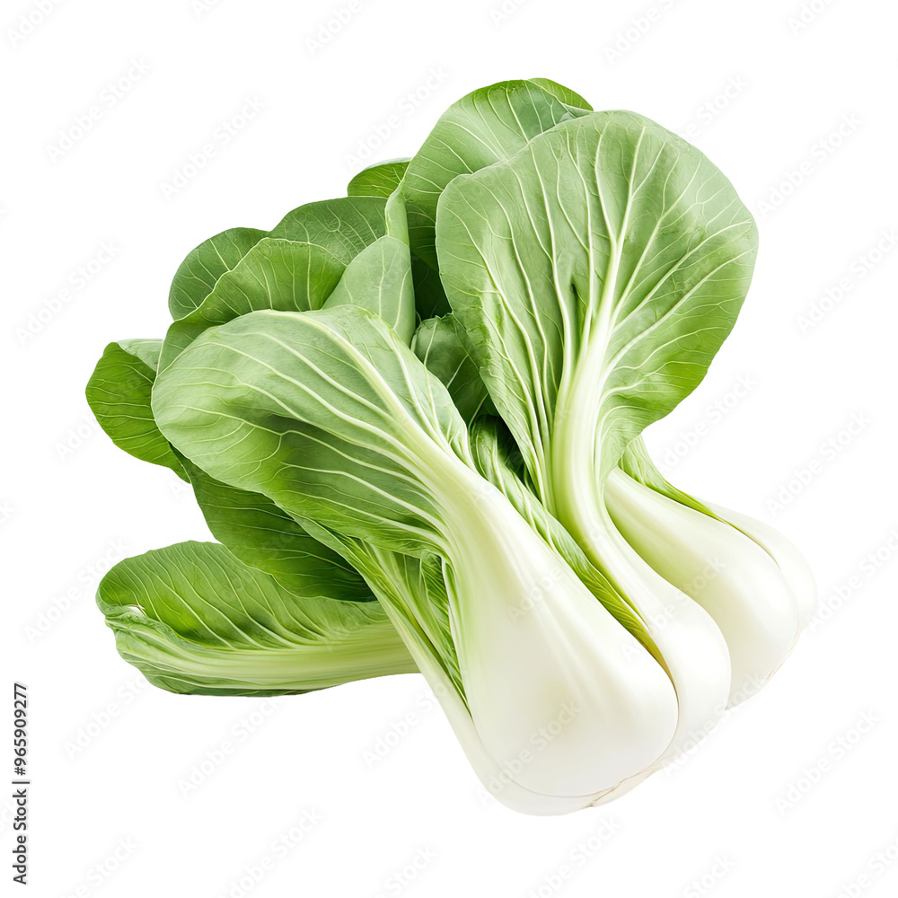 Fresh bok choy with green leaves and white stems, ready to be used in a delicious stir-fry or salad. Fresh bok choy with green leaves and white stems, ready to be used in a delicious stir-fry or salad.