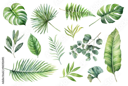 PNG tropical leaves element set, transparent background