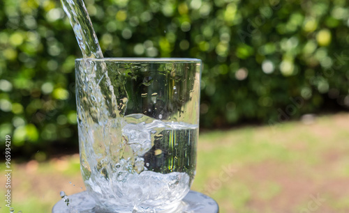 glass of water photo