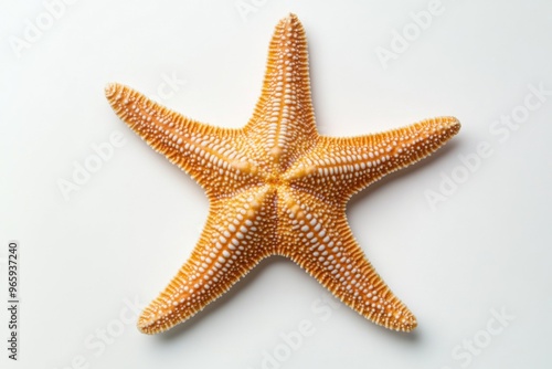 Ultra realistic uhd photo of starfish on white plain