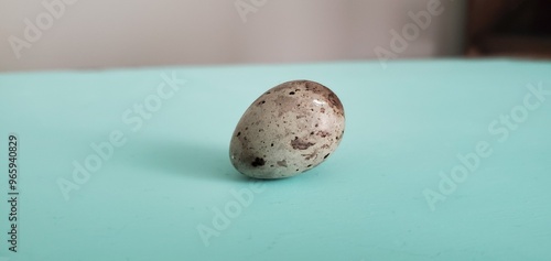 Small Egg on Turquoise