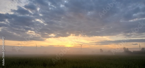 Windmills in the Mist
