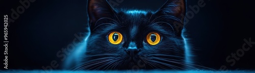 Stunning close-up of a black cat with mesmerizing yellow eyes, brightly illuminated in a dark setting, capturing its curious and mysterious gaze.