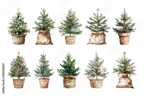 PNG watercolor christmas tree element set, transparent background photo