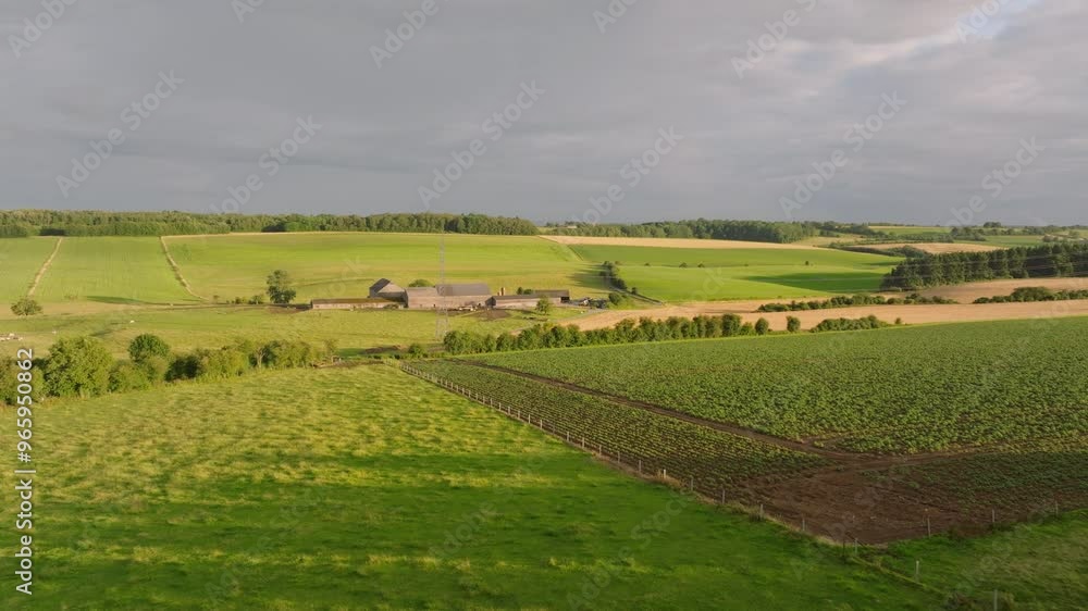 Sunlight is illuminating a farm in the Belgian countryside. Fields of various shades of green and yellow surround the farm Sunlight is illuminating a farm in the Belgian countryside. Fields of various shades of green and yellow surround the farm