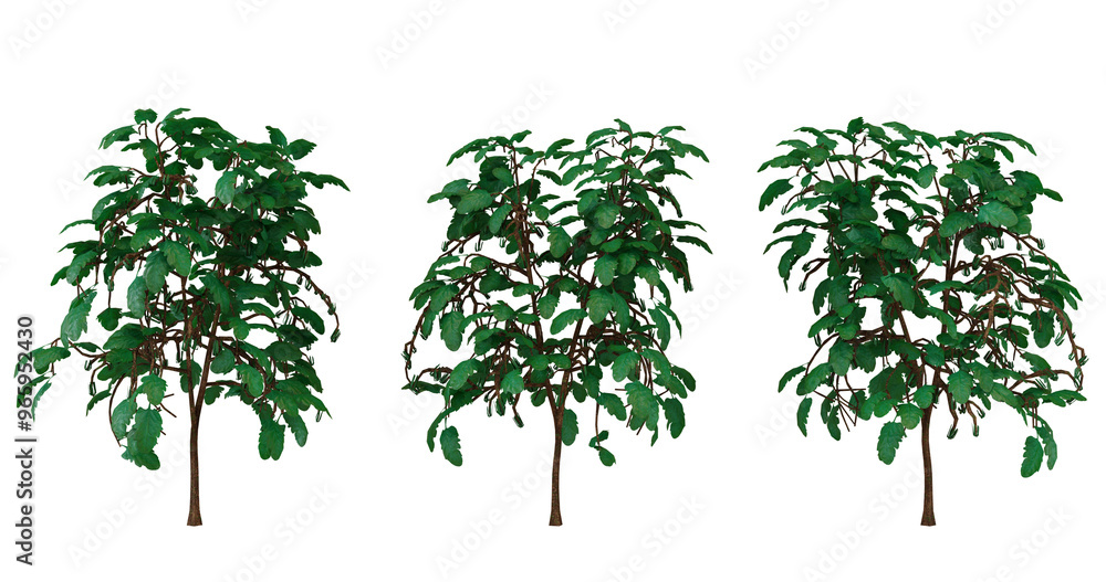 Obraz premium 3D Render of Three Lush Green Trees for Game and Simulation Assets