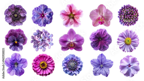 PNG purple flower element set, transparent background