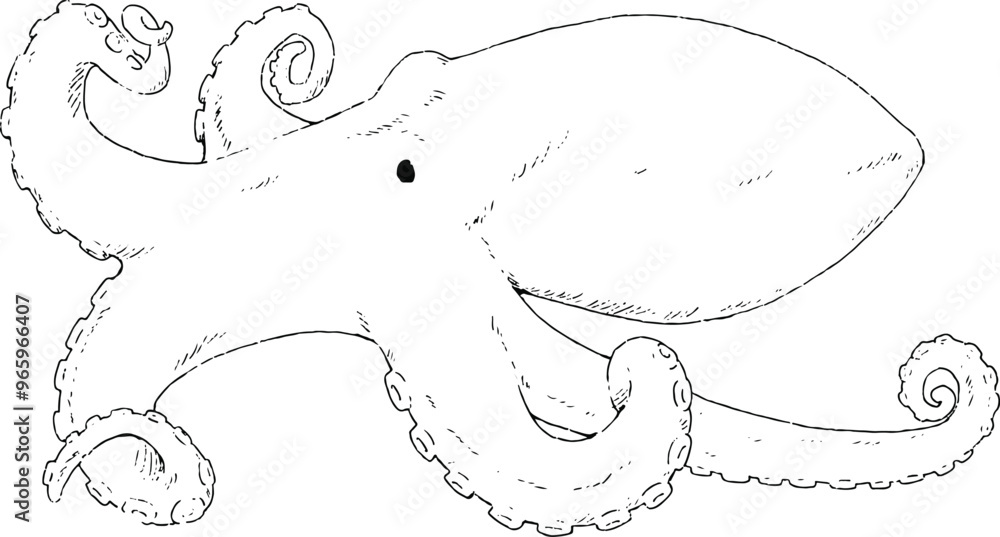 Line art of quirky octopus