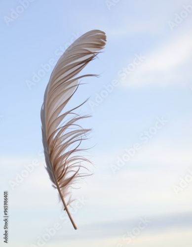 Feathers drifting on the breeze photo