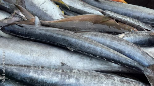 Yellowfin Tuna After the Catch: Slicing and Preparing the Fresh Fish at the Dockside – Authentic Travel Experience photo