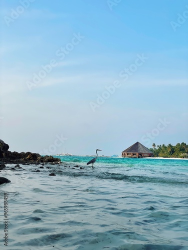 Tropical Destination - Maldives - Pier For Paradise Island, beach with clear blue water. Summer vacation background. Exotic island 