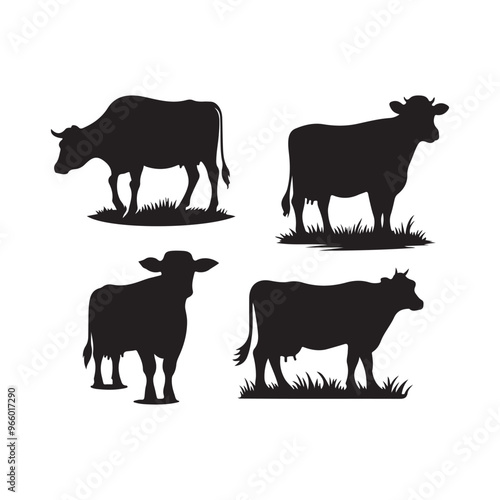 Silhouette of Cow, silhouette or illustration of a cow or buffalo, Ideal for farm, ranch branding. Perfect for logos, decals. Black, white background. 