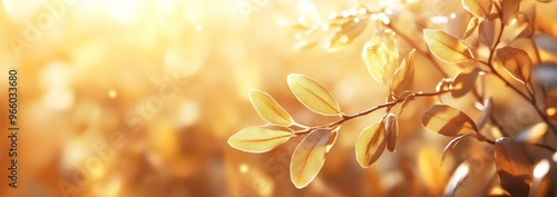 Golden sunlight illuminates the delicate leaves of a branch in a tranquil nat...