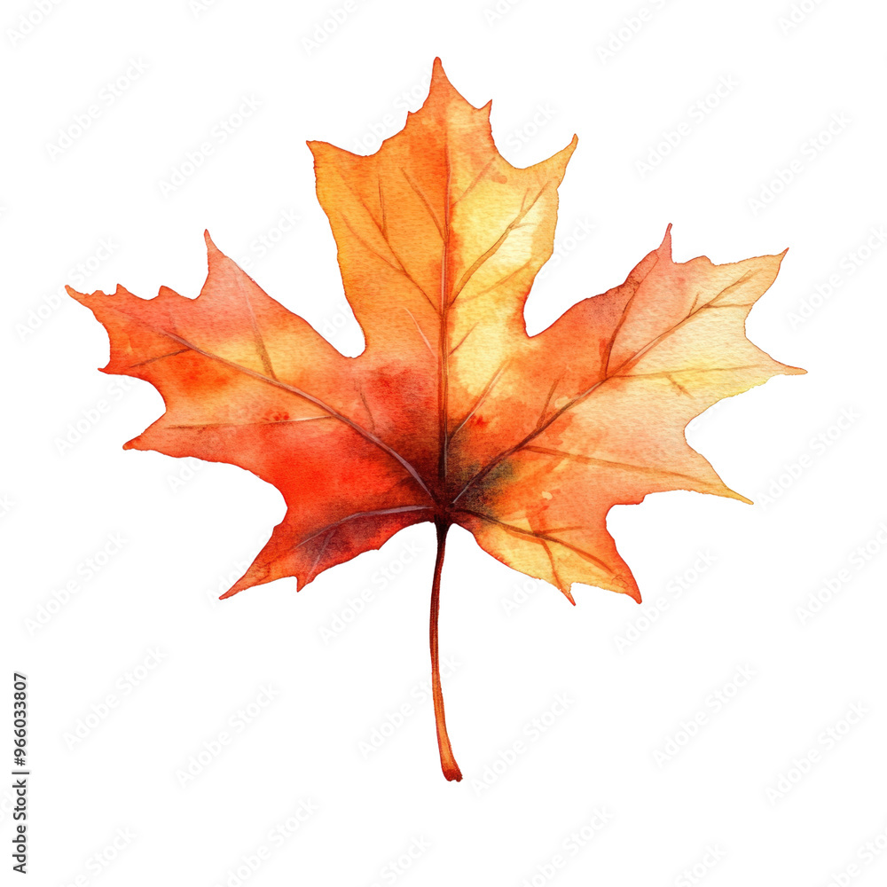 A Single Maple Leaf, a Symbol of Autumn's Golden Hues. A Single Maple Leaf, a Symbol of Autumn's Golden Hues.
