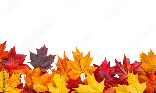 autumn leaves isolated on transparent background