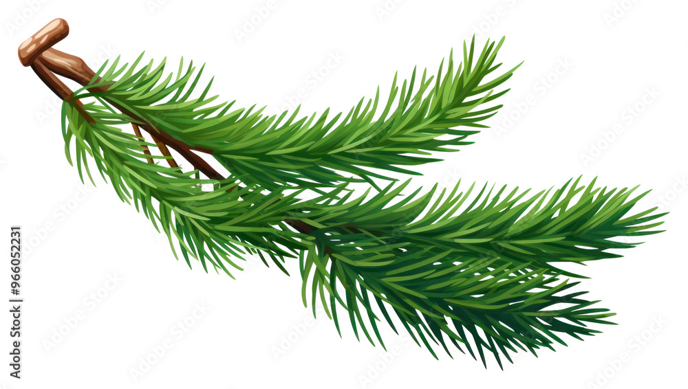 PNG A fir branch plant tree pine. PNG A fir branch plant tree pine.