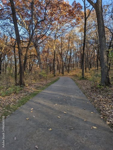 A long path in the woods in autumn has is a romantic place to take a stroll with the sunlight shining through the fall leaves that are brilliant shades of reds, oranges and golden tones. 