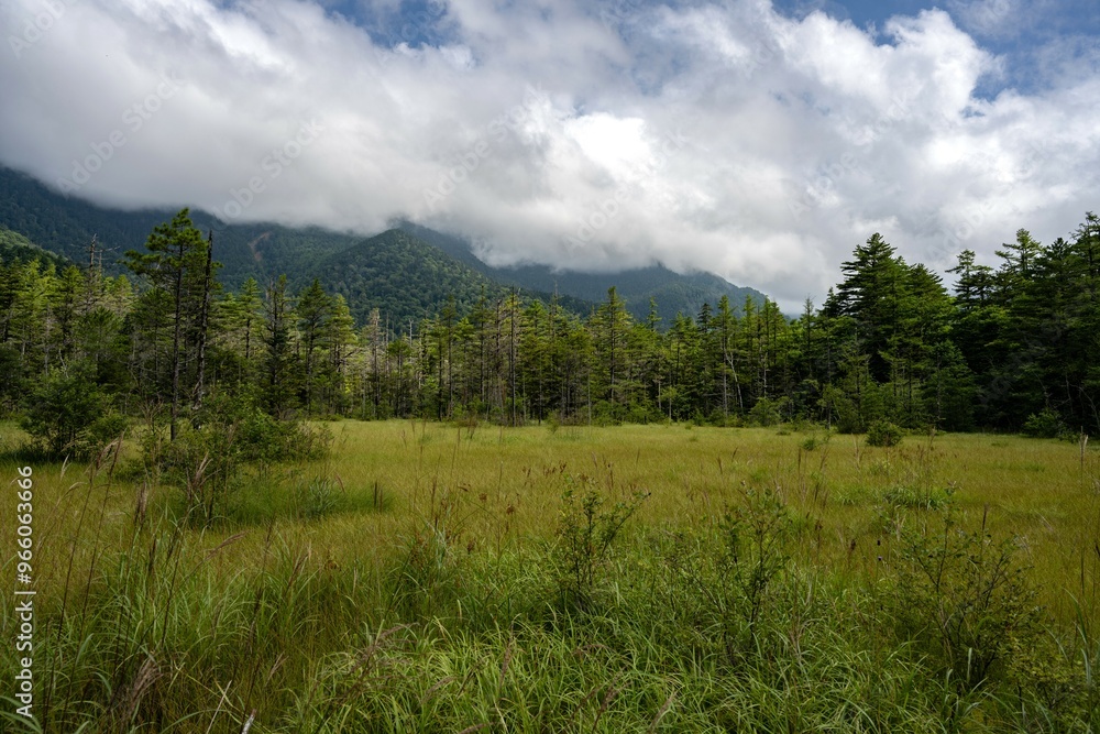 夏の上高地,遊歩道の景観/長野県 夏の上高地,遊歩道の景観/長野県