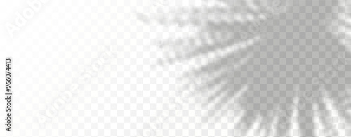 Blurred shadows from leaves and plants in the room. Soft overlay of natural light. Abstract background for product presentation.Natural light layout.