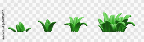 Vector 3D growth phases of green grass icons on transparent background.