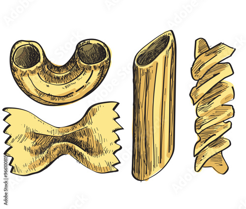 pasta italian food type fusilli macaroni penne farfalle illustration drawing on white background