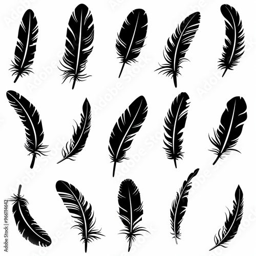 Feather icon, animal feathers isolated, black plume symbol, minimal plume silhouette on white