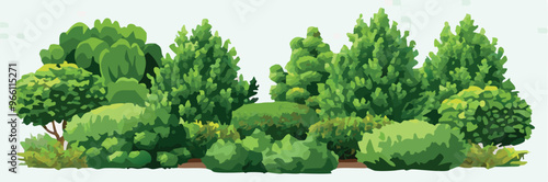 Lush green bushes and trees forming a forest bordering a dirt path-