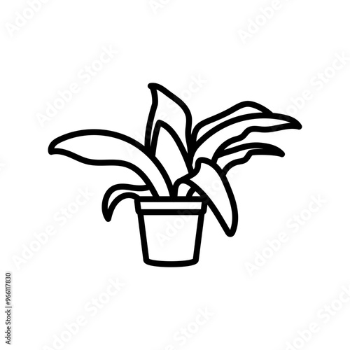 Dracaena Plant Outline Icon, Vector illustration
