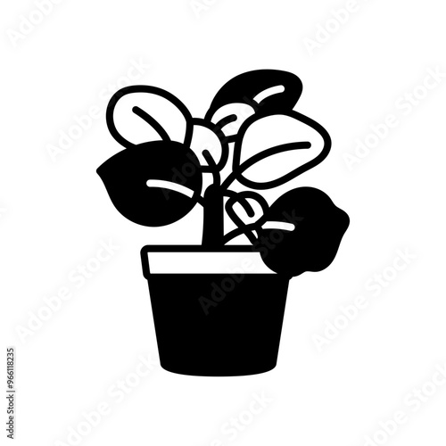 Radiator Plant Glyph Icon, Vector illustration