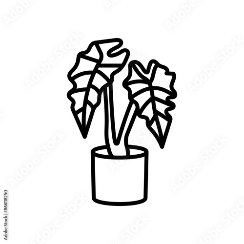 African Mask Plant Outline Icon, Vector illustration