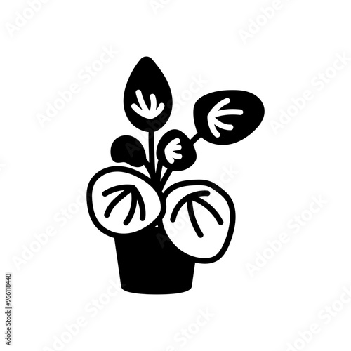 Pilea Plant Glyph Icon, Vector illustration
