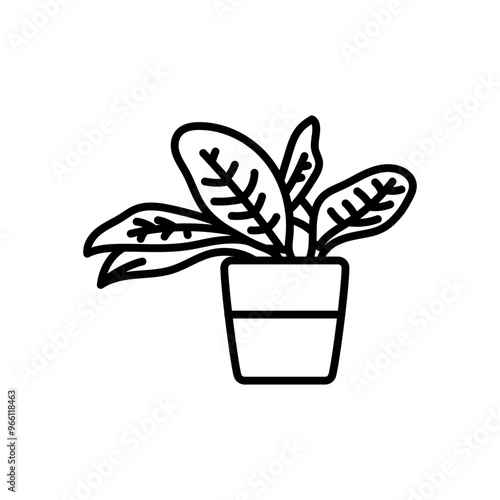 Croton Outline Icon, Vector illustration