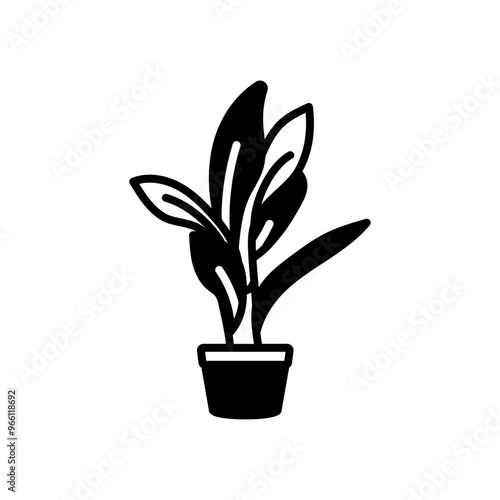 Aspidistra Elatior Glyph Icon, Vector illustration