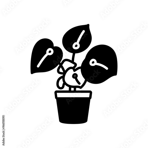Raindrop Peperomia Glyph Icon, Vector illustration
