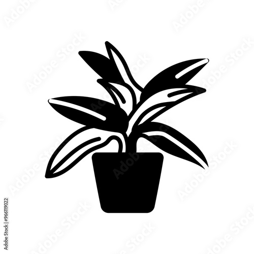 Maranta Plant Glyph Icon, Vector illustration