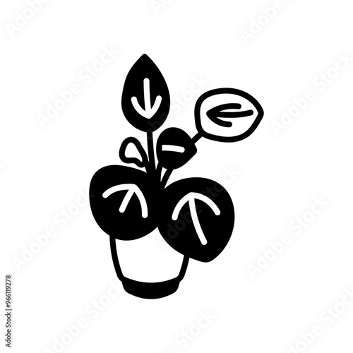 Chinese Money Plant Glyph Icon, Vector illustration