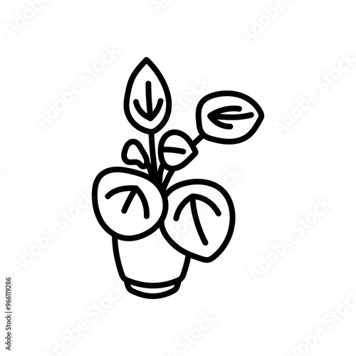 Chinese Money Plant Outline Icon, Vector illustration