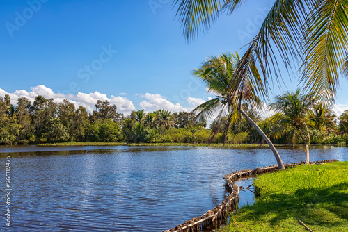 Beautiful view of river and palms in Laguna del Tesoro, Cuba