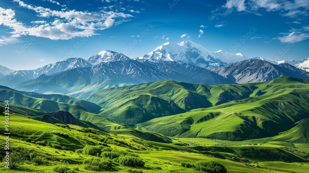 Obraz premium A mountain landscape with green valleys and snow-capped peaks under a clear, bright summer sky