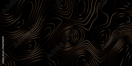 Abstract light pattern Vector illustration. Topographic map background concept. Vibrant neon lights pulsating patterns. Colorful topography contour lines isolated on black background. 