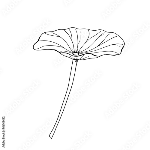 Waterlily leaf monochrome vector isolated illustration on white background. Lotus leaf hand drawn painted by black inks. Tropical plant element for create floral arrangements, icon decor.