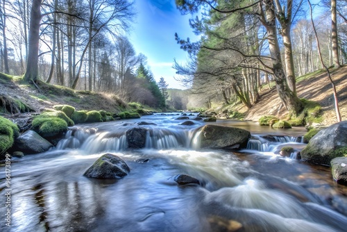 Clear Stream in a Lush Forest