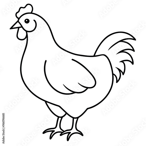    Chicken vector illustration.
